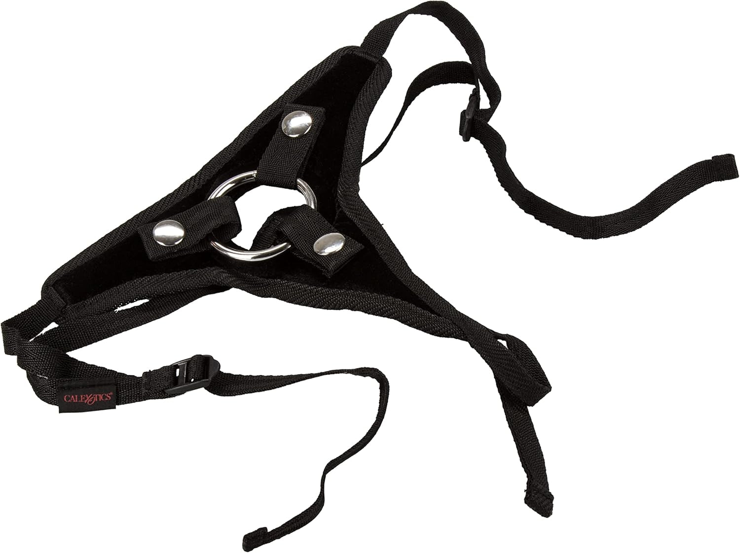 Harnașul ei regal, Prințesa